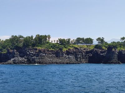 IMG_20230617_111725